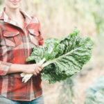 woman holding kale in garden