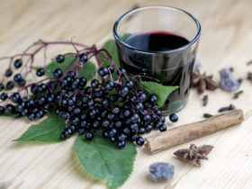 does elderberry work for cold and flu