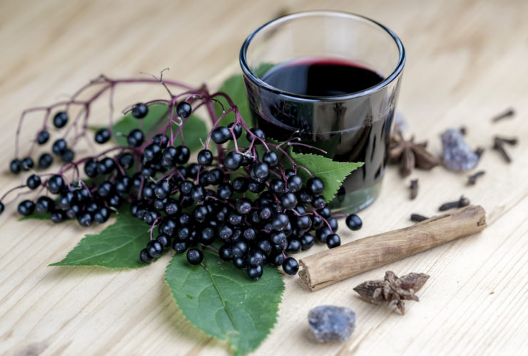 does elderberry work for cold and flu