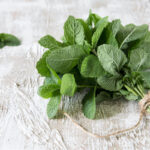 Growing Peppermint for Tea and Mojitos